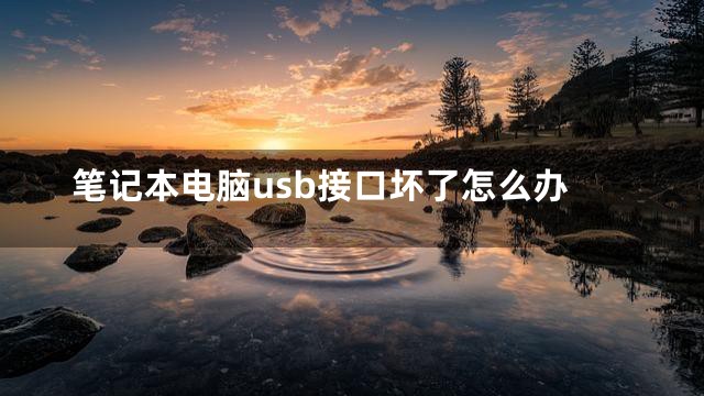 笔记本电脑usb接口坏了怎么办