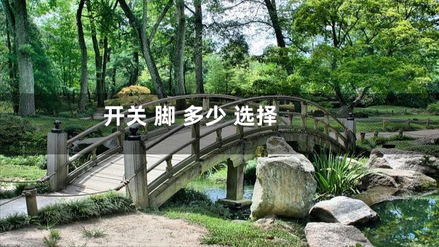 开关 脚 多少 选择