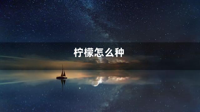 柠檬怎么种