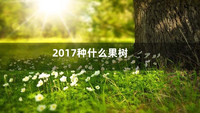 2017种什么果树