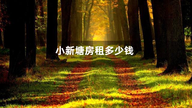 小新塘房租多少钱