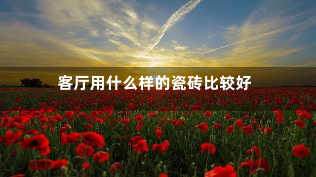 客厅用什么样的瓷砖比较好