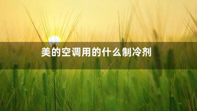 美的空调用的什么制冷剂