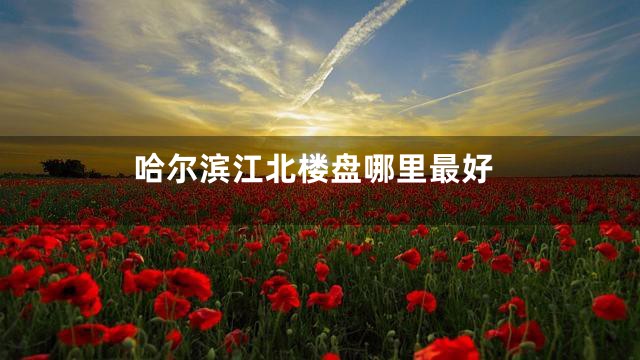 哈尔滨江北楼盘哪里最好