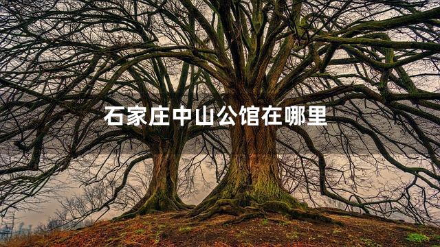 石家庄中山公馆在哪里