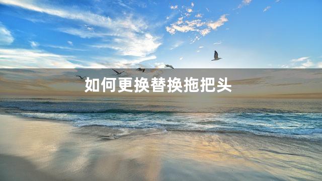 如何更换替换拖把头