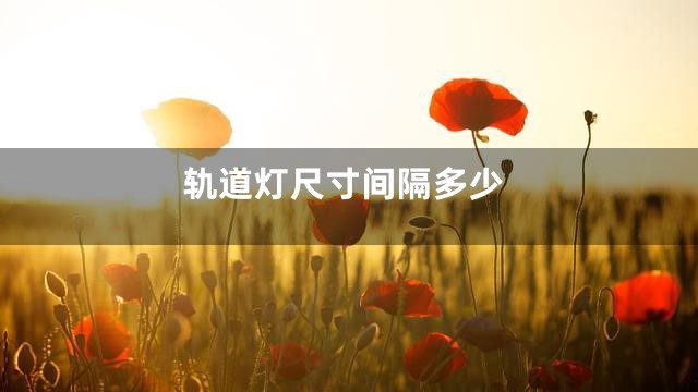 轨道灯尺寸间隔多少