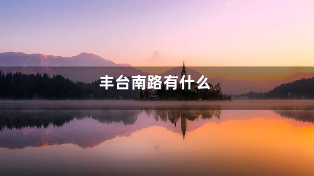 丰台南路有什么