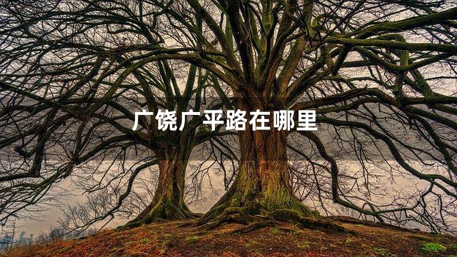 广饶广平路在哪里