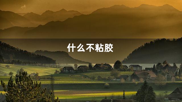 什么不粘胶