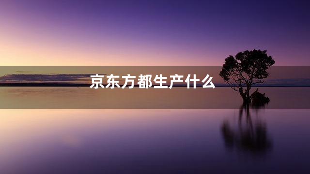 京东方都生产什么