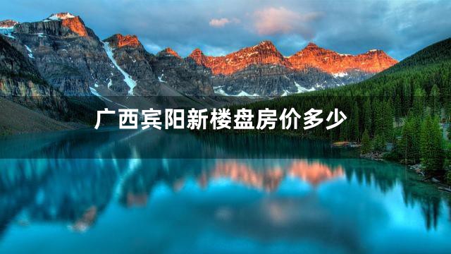 广西宾阳新楼盘房价多少