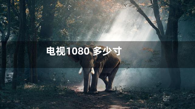 电视1080 多少寸