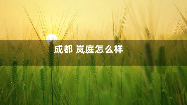 成都 岚庭怎么样