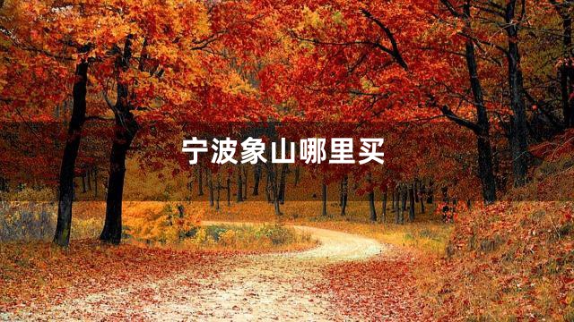 宁波象山哪里买