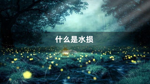 什么是水损