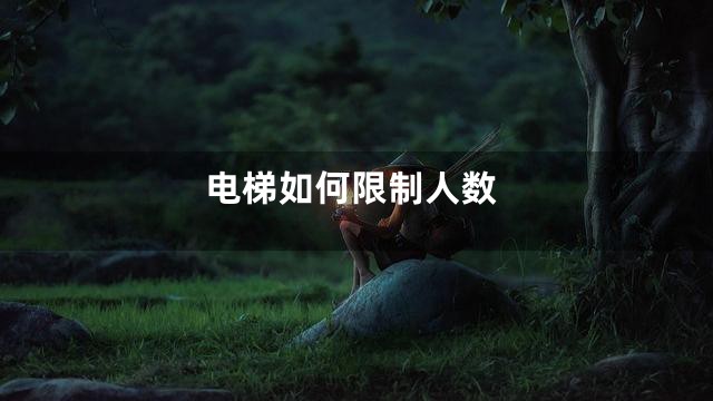 电梯如何限制人数