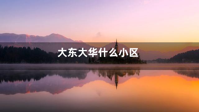 大东大华什么小区