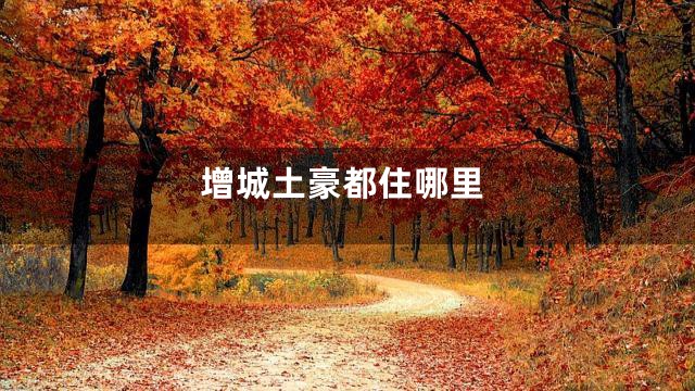 增城土豪都住哪里