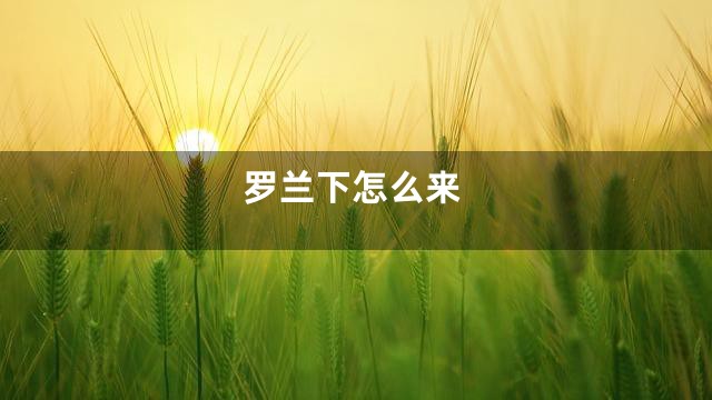 罗兰下怎么来