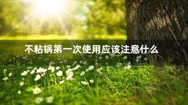 不粘锅第一次使用应该注意什么