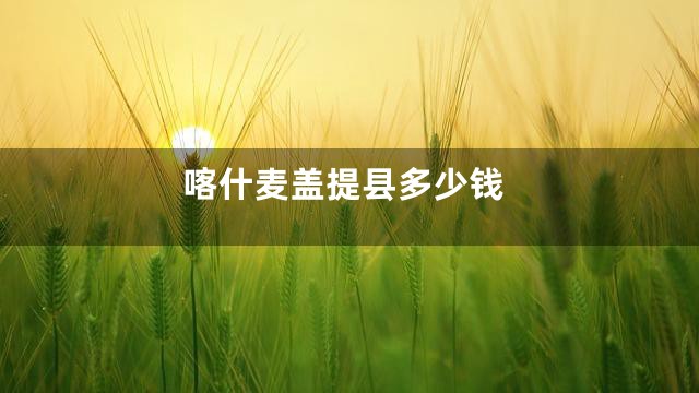 喀什麦盖提县多少钱