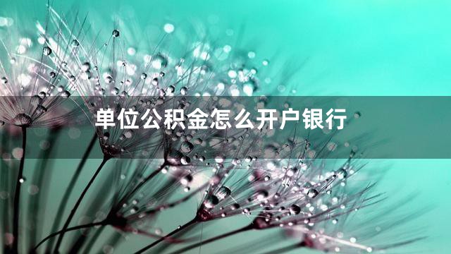 单位公积金怎么开户银行