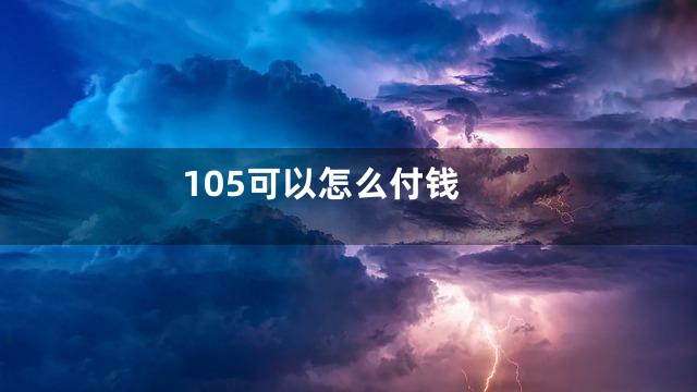 105可以怎么付钱