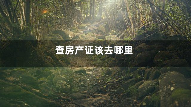 查房产证该去哪里