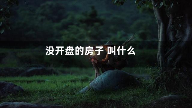 没开盘的房子 叫什么