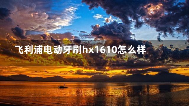 飞利浦电动牙刷hx1610怎么样