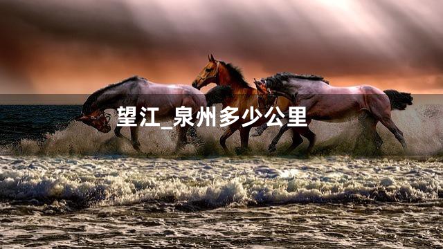 望江_泉州多少公里