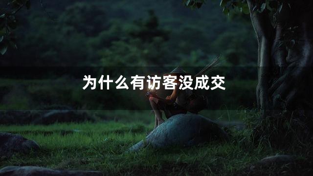 为什么有访客没成交
