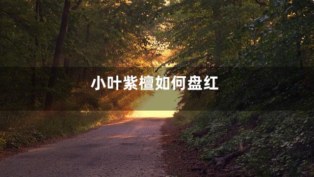 小叶紫檀如何盘红