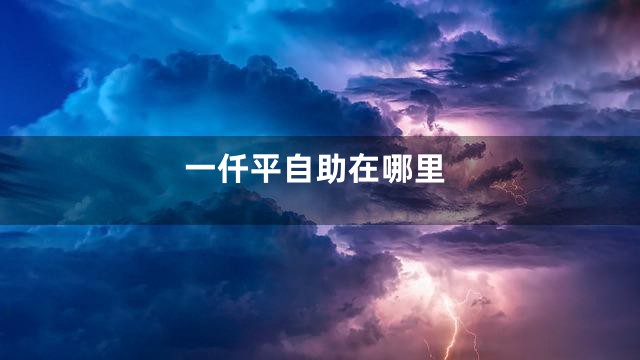 一仟平自助在哪里