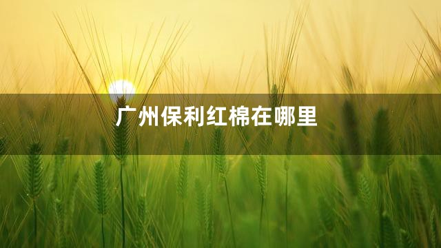 广州保利红棉在哪里