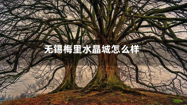无锡梅里水晶城怎么样