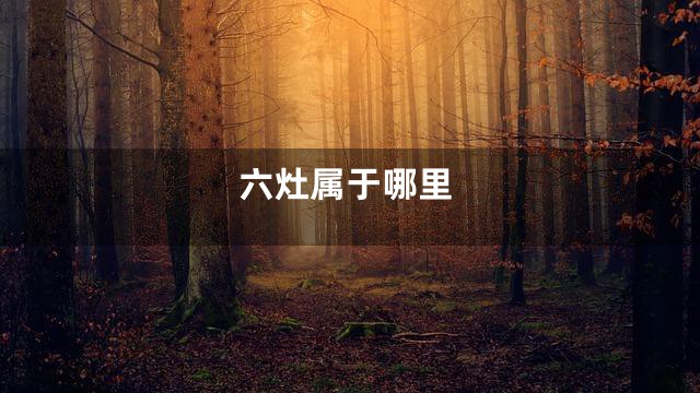 六灶属于哪里