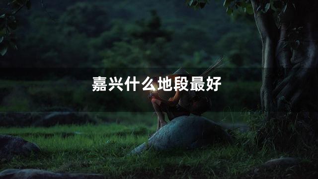 嘉兴什么地段最好