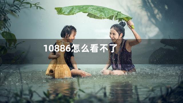 10886怎么看不了