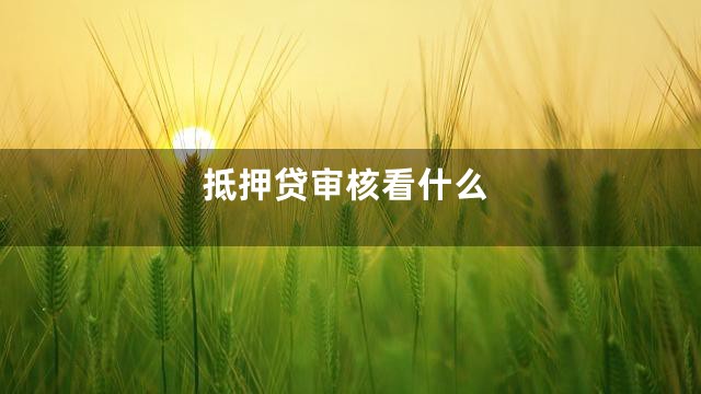 抵押贷审核看什么