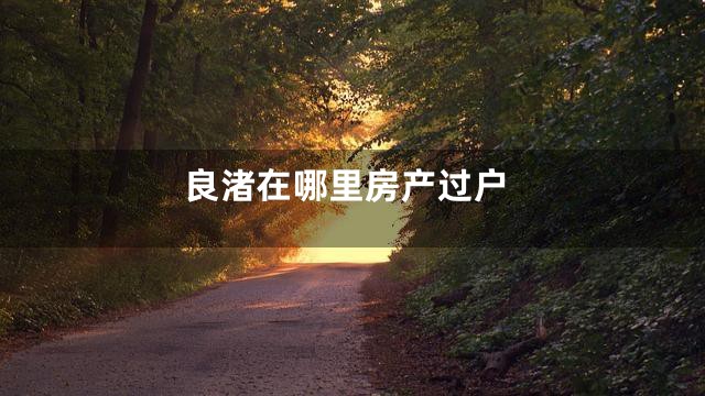 良渚在哪里房产过户