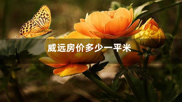 威远房价多少一平米