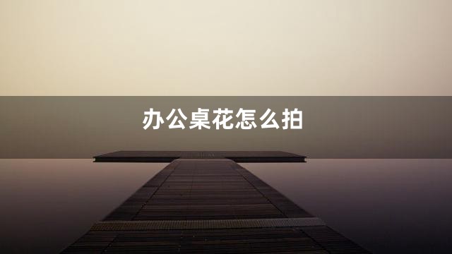 办公桌花怎么拍