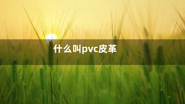 什么叫pvc皮革