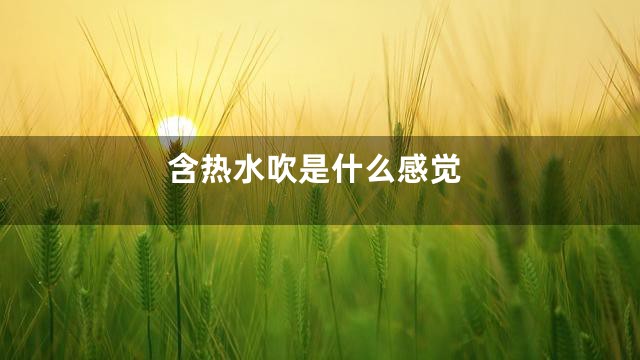 含热水吹是什么感觉