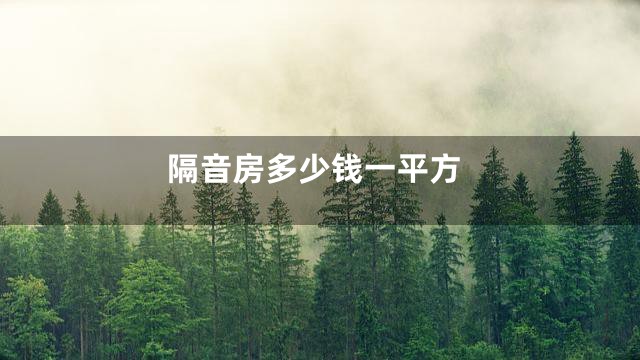 隔音房多少钱一平方