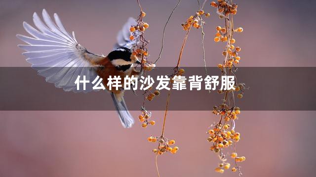 什么样的沙发靠背舒服