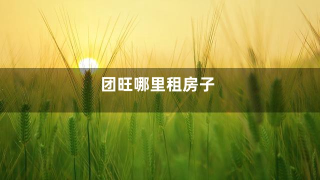 团旺哪里租房子