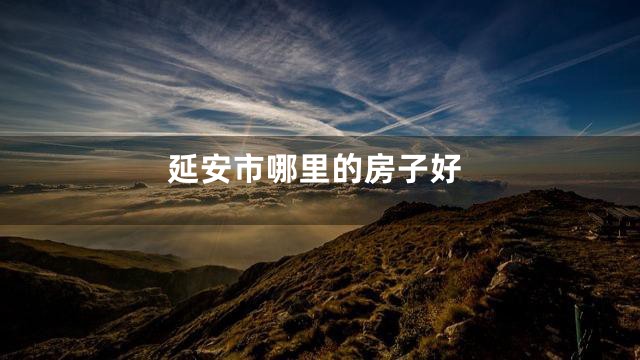延安市哪里的房子好
